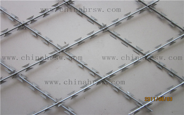 帶刺鐵絲網 帶刺鐵絲網