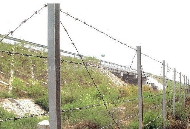 刺繩防護網 刺繩防護網