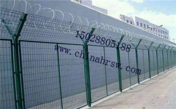 刺繩防護網(wǎng) 刺繩防護網(wǎng)