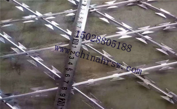 刺繩防護網(wǎng)細節(jié) 刺繩防護網(wǎng)細節(jié)