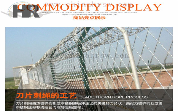 監獄防護網 監獄防護網