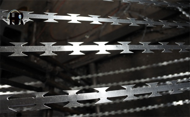 DSC_0214.JPG DSC_0214.JPG