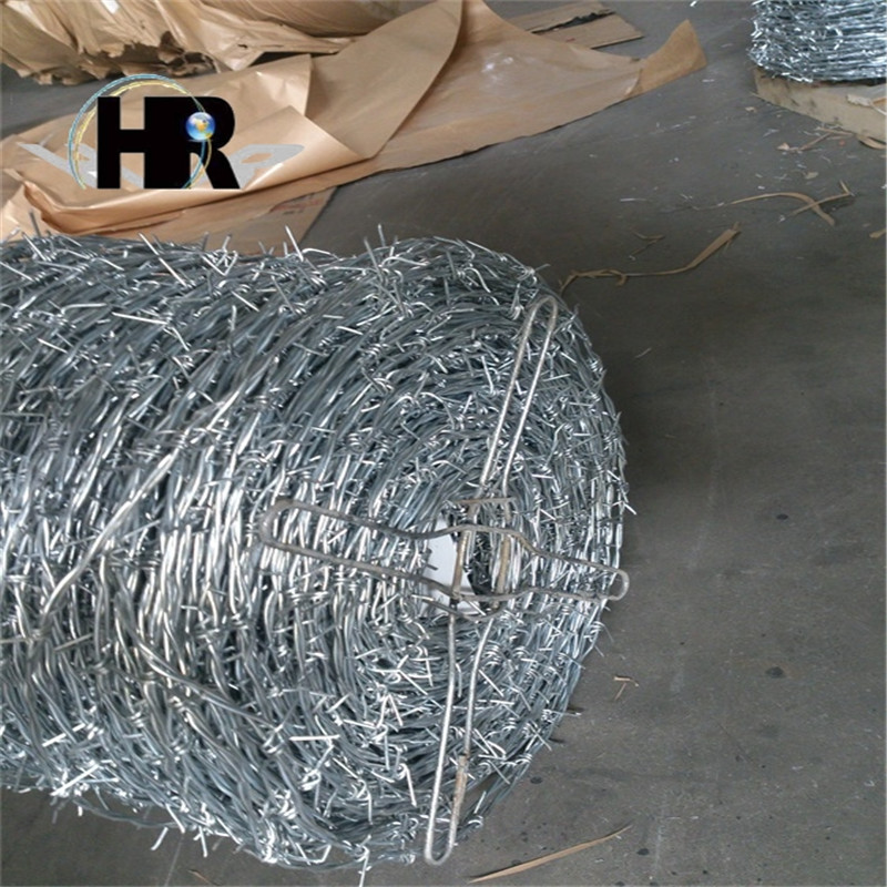 6568031712425077919.jpg 6568031712425077919.jpg